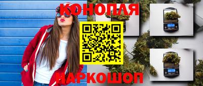 ECSTASY Гай