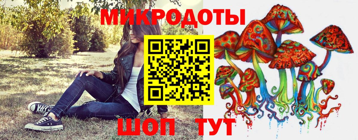 Псилоцибиновые грибы Psilocybe Россошь